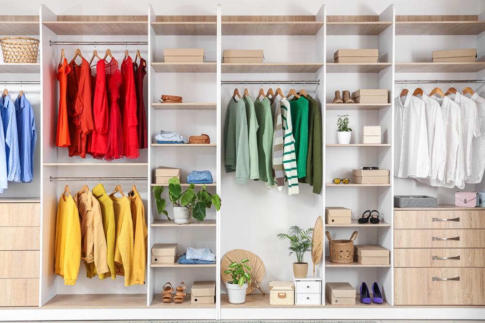 Home Organization: Understanding Your Closet Options